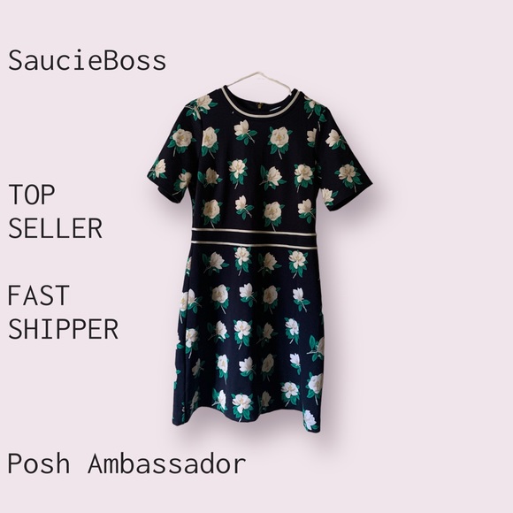 Meet your Posher, SaucieBoss - Picture 2 of 2